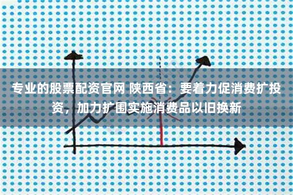 专业的股票配资官网 陕西省：要着力促消费扩投资，加力扩围实施消费品以旧换新
